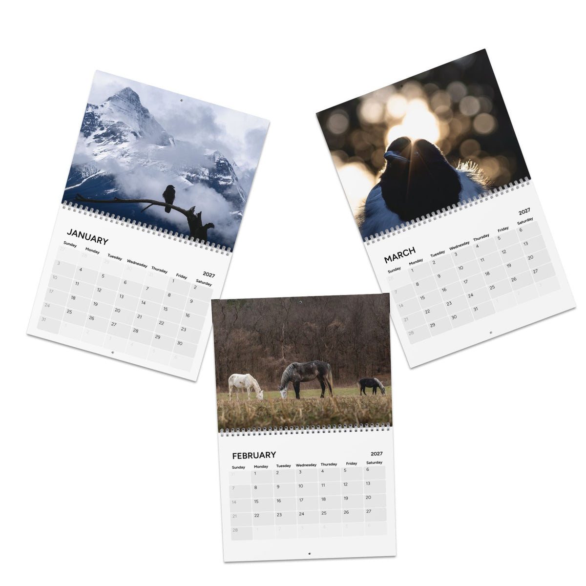 2027 Wildlife and Calendar