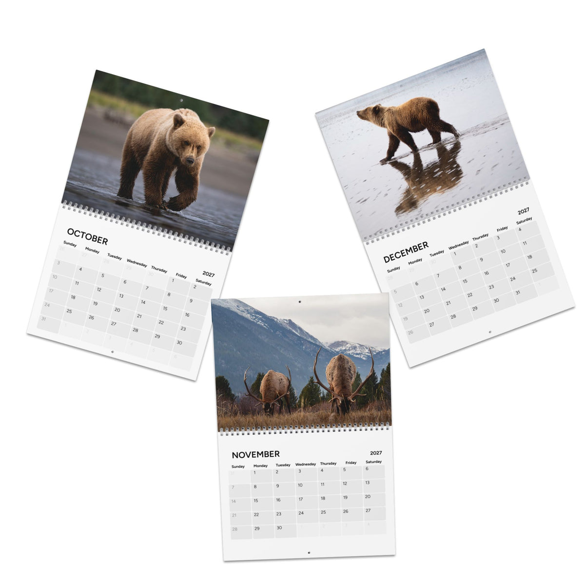 2027 Wildlife and Calendar