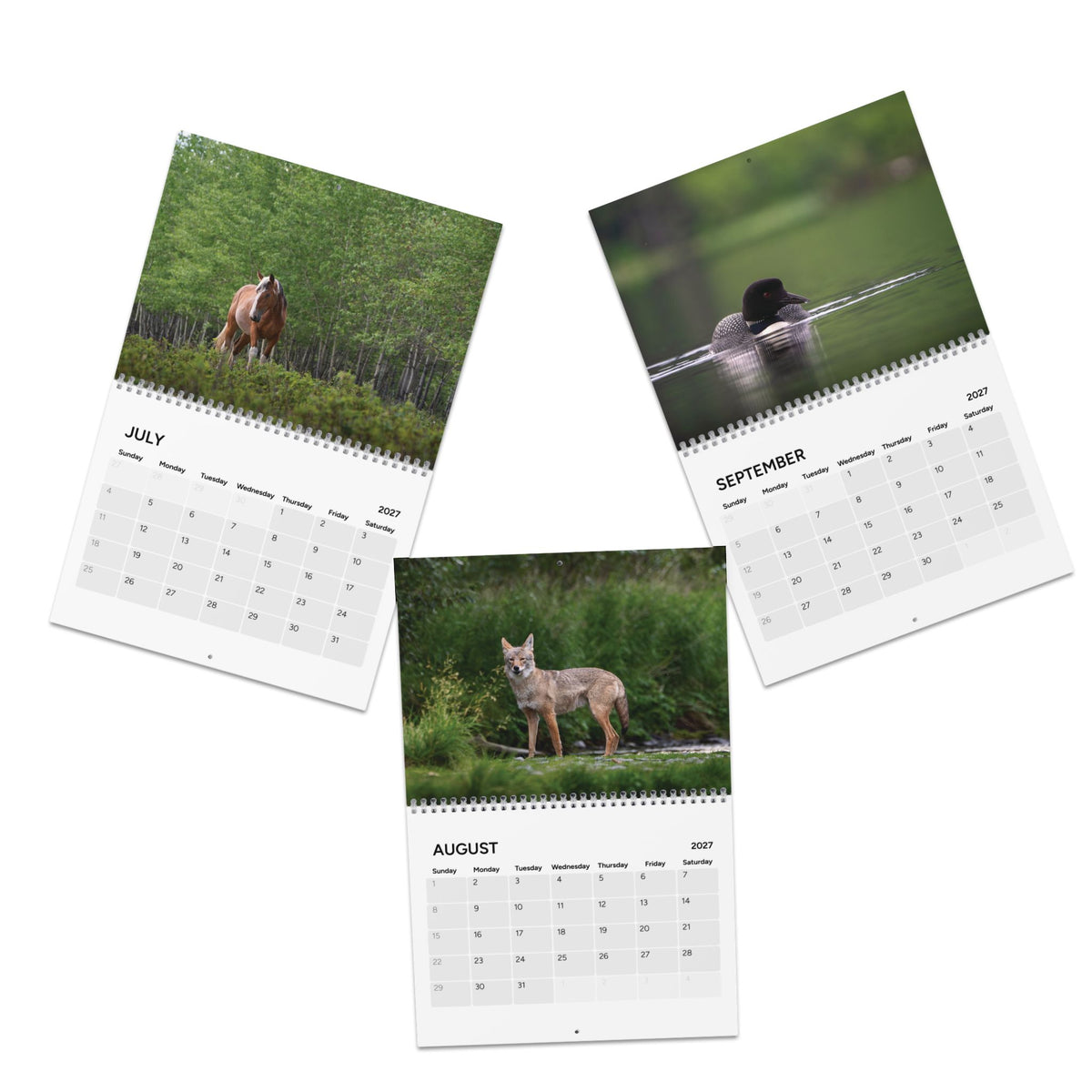 2027 Wildlife and Calendar