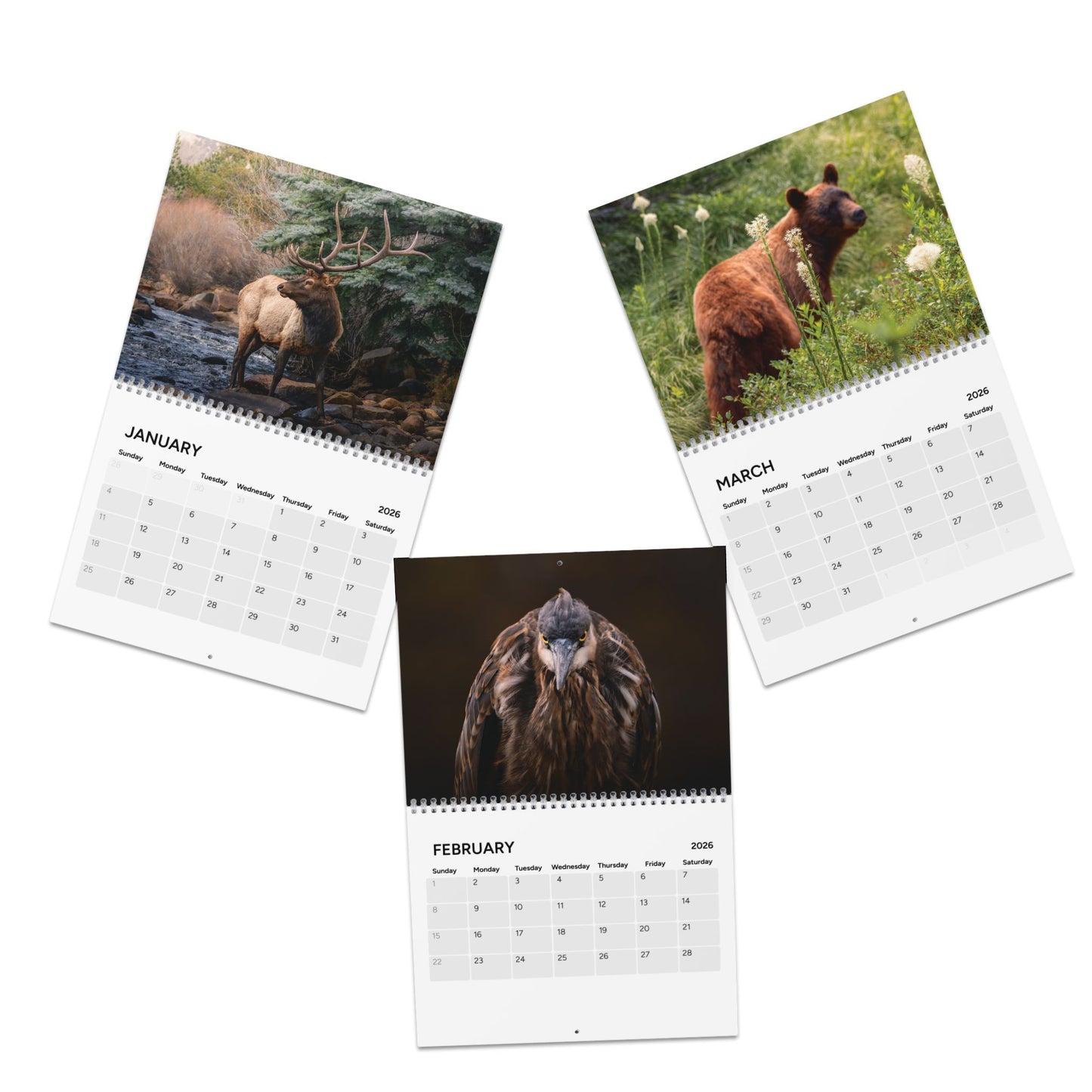 2026 Wildlife and Landscape Calendar