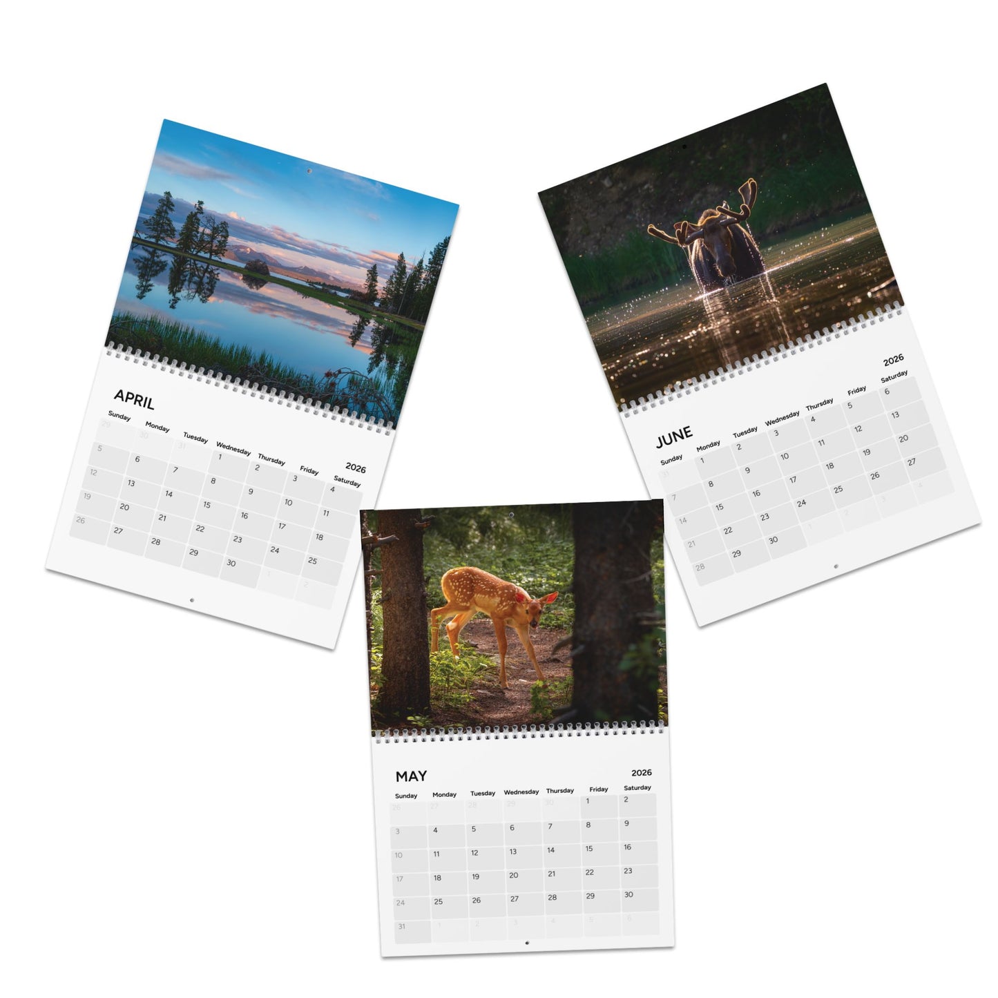 2026 Wildlife and Landscape Calendar