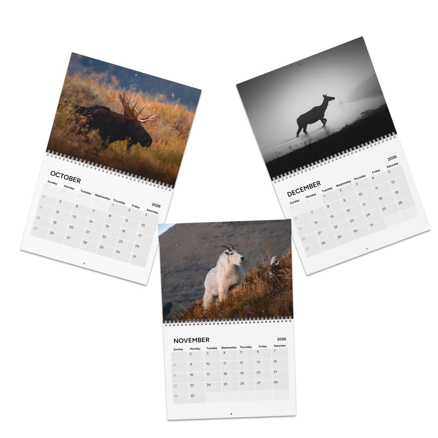 2026 Wildlife and Landscape Calendar