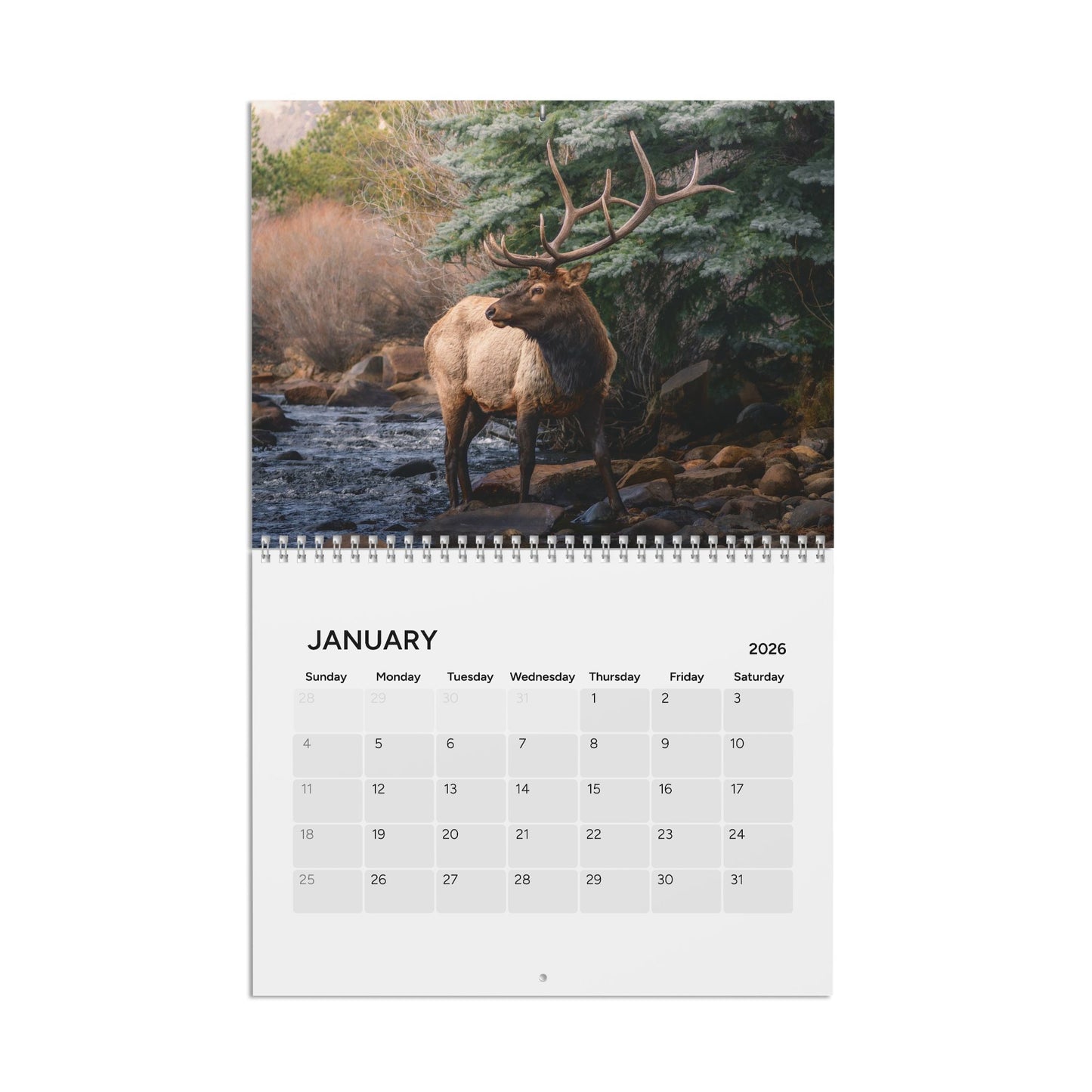 2026 Wildlife and Landscape Calendar