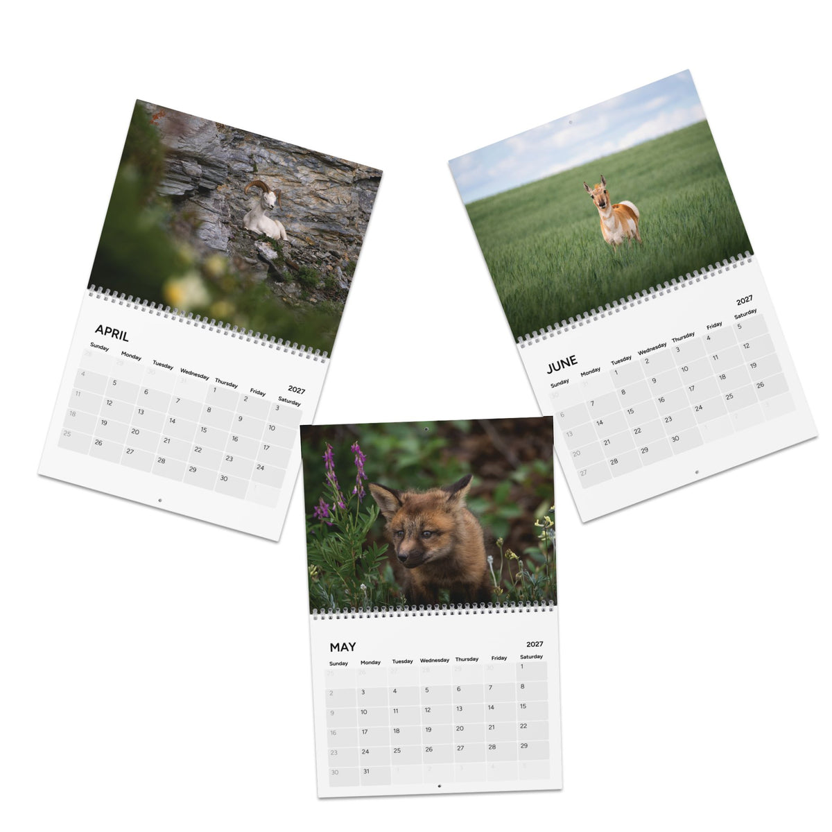 2027 Wildlife and Calendar