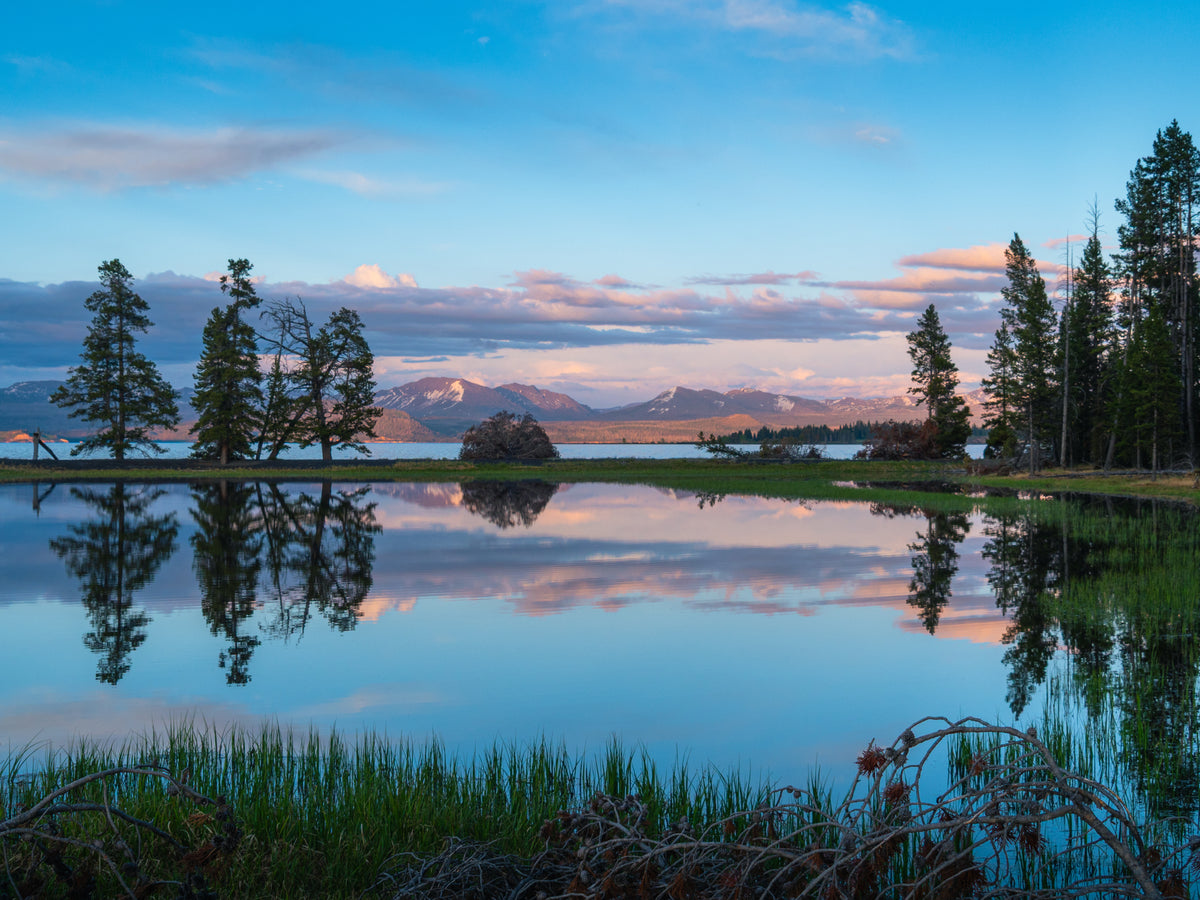 Yellowstone Lake in Pink and Blue
