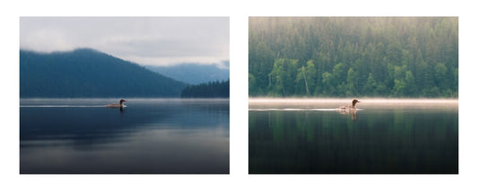 Floating and Gliding